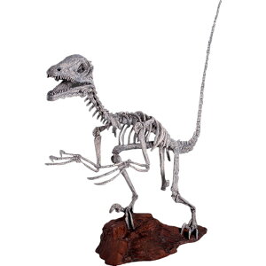 FRPIuWF fBmjNX XPg Deinonichus Skeleton u A H [ I br   tBMA 傫 X CeA  iX Xg HX   