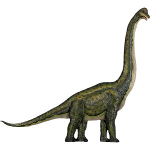 FRPIuWF Ǌ|uLITEX Brachiosaurus Wall Decor A ǖ u WI H r 傫  tBMA W{  CeA X K[f iX Xg 