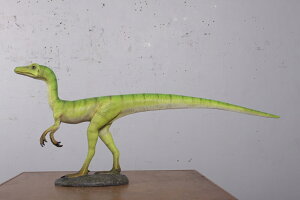 FRPIuWF Rv\OigDX Compsognathus u A  tBMA 傫 W{  CeA X iX Xg HX   Cxg fBXvC fr180119
