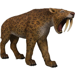 FRPIuWF T[x^CK[ Smilodon - Saber-toothed Cat u H X~h A 傫   tBMA K[f I[ig W{  g  X iX Xg 