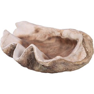 強化プラスチック (FRP) アートオブジェ シャコ貝 Giant Clam Shell W70cm D55cm H27cm リアル インテリア 映える おしゃれ 置物 飾り物 完成品 リビング 軽い ファニチャー 店舗 軽量 イベント ディスプ