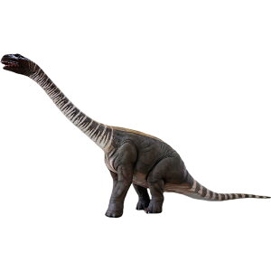 FRPIuWF L΂GgTEX Rhoetosaurus Brownei - Lifesize A  u  H br  ʎq ܂ tBMA 傫 X  K[f I[ig iX 