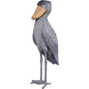 nVrRE Shoebill Stork vX`bN (FRP) A[gIuWF A  K[fjO I[ig 傫  u    O O  y svc̍̃AX tBMA 