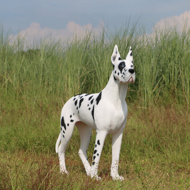 楽天市場】グレートデン Great Dane - Standing - 強化プラスチック 