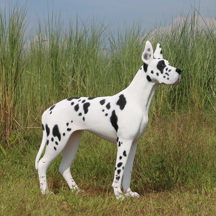 楽天市場】グレートデン Great Dane - Standing - 強化プラスチック 