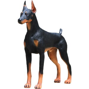 h[x} Standing Doberman vX`bN (FRP) A[gIuWF  u   O    f tBMA K[fjO CeA Aj}  y K[f I[ig