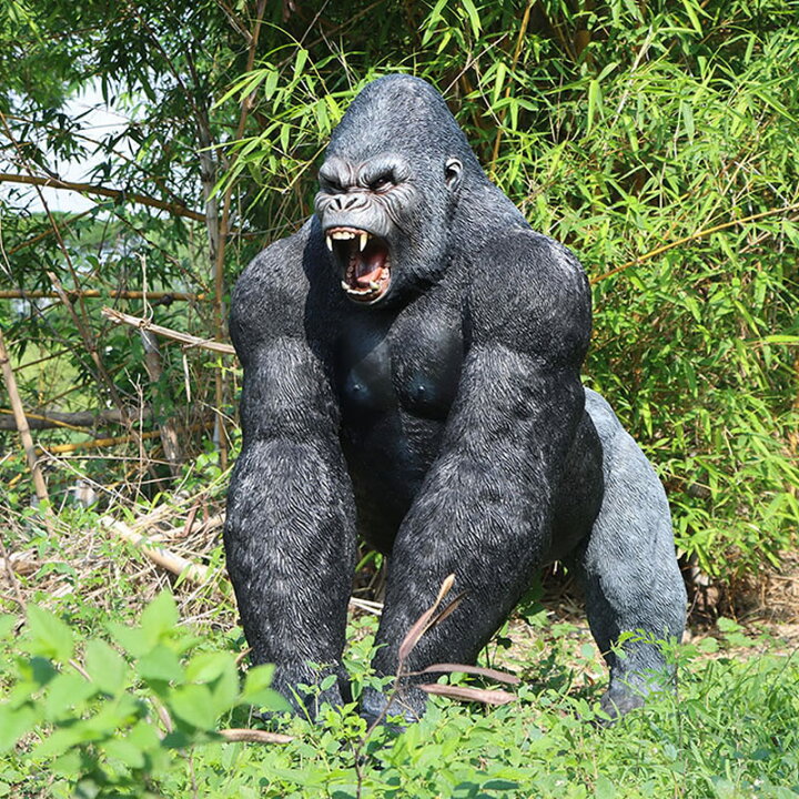 楽天市場】夜叉のように牙をむき出しにするゴリラ H156cm 動物 ゴリラ 