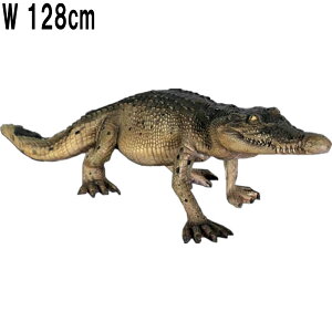 FRPAj}IuWF NR_C Crocodile Walking ̒1m28cm k u A j tBMA 낱 唗  傫 K[fjO I[ig  CeA X 