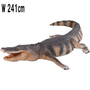 FRPAj}IuWF AJk̗Yp American Alligator ̒2m41cm A k u j  tBMA AQ[^[ 唗 傫 K[fjO I[ig  CeA X 