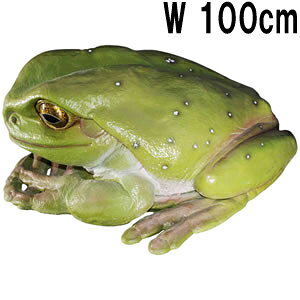 FRPAj}IuWF łJG Frog Jumbo u A   ^  tBMA   K[fjO I[ig  O X JtF iX Xg HX CeA C