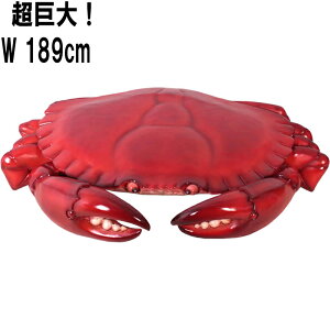 FRPAj}IuWF ȃJj Crab 6ft. A  CeA 傫  I[ig tBMA  I K[fjO g    O  X  JtF iX 