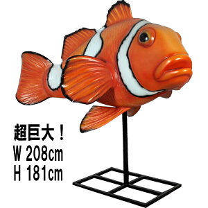 FRPAj}IuWF N}m~ X^h^Cv Giant Clown Fish on Metal St A 傫 CeA JNN}m~ I[ig  tBMA  g    O  X