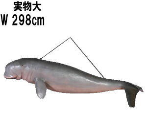 FRPAj}IuWF WS ݂艺^Cv Dugong-Hanging A CeA u I[ig tBMA  Ŋ뜜   傫   X  JtF iX Xg