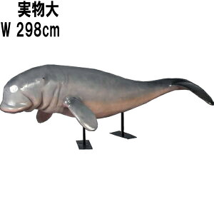 FRPAj}IuWF WS X^h^Cv Dugong on Metal Stand A u CeA I[ig tBMA  Ŋ뜜   傫   X  JtF iX 