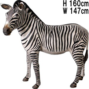 FRPAj}IuWF V}E} Zebra   A u ܂  K[fjO I[ig 傫 E} tBMA Ȕn  O [u  X 킢 CeA  Jt