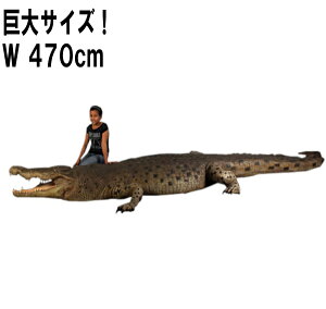 FRPAj}IuWF NR_C 18tB[g Crocodile 18ft. ̒4m70cm 傫 j u 唗 A  tBMA k K[fjO I[ig  낱 CeA X