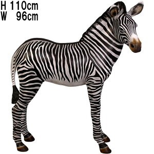 FRPAj}IuWF V}E}̐Ԃ Zebra Foal A   u 킢 ܂  K[fjO I[ig E} tBMA Ȕn  O [u  傫 X Ce