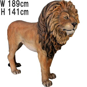 FRPAj}IuWF YCI Lion King A   傫 u  炢 tBMA  K[fjO I[ig X CeA JtF iX  O Xg H