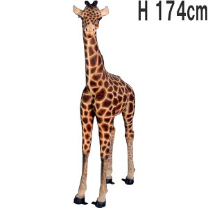 FRPAj}IuWF L̐Ԃ Baby Giraffe 6ft. A 킢   u i  傫 tBMA  X JtF iX  K[fjO I[ig  O 