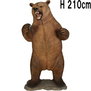 FRPAj}IuWF XĂOY[ Growling Grizzly A     N} tBMA K[fjO I[ig F  CeA 傫  g u  O X 