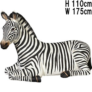 FRPAj}IuWF V}E}̋x Zebra-Resting A u   킢 ܂  K[fjO I[ig E} tBMA Ȕn  O [u  傫 X Ce