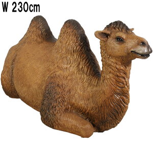 FRPAj}IuWF xӂԃN_ Bactrian Camel-Resting 炭 A   u K[fjO IuWF  X JtF   O pk 傫 iX Xg HX Cx