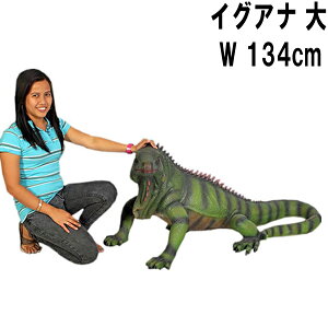 FRPAj}IuWF COAiij Iguana A ঒ u  tBMA O[COAi 傫 K[fjO I[ig   CeA X  JtF iX 