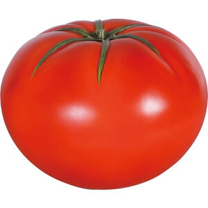 g}g Tomato vX`bNiFRPj A[gIuWF CeA X fBXvC   a45cm ^  K[f  傫 I[ig iX Xg x C