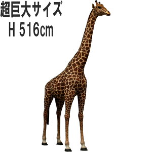 FRPAj}IuWF ȃL Giraffe 18ft. A 傫   u 5m16cm i  tBMA  X JtF iX  K[fjO I[ig  O Xg