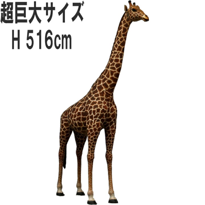 楽天市場】FRPアニマルオブジェ 巨大なキリン Giraffe 18ft. リアル 