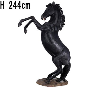 FRPAj}IuWF EsYn Rearing Stallion E}   A 傫 u  tBMA  K[fjO I[ig  X CeA JtF iX  O Xg