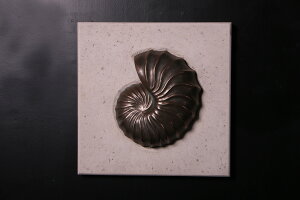 �Ǌ|���A�[�g�E�A�����i�C�g�E�u�����Y�d�グ Nautilus Wall Plaque �����v���X�`�b�N�iFRP�j �A�[�g�I�u�W�F �ǖ� ���� �f�B�X�v���C 51cm×51cm �p�l�� �X�� ���� �E�H�[�� ���� �C���e���A �I�[�i