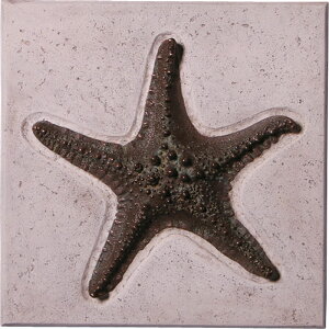 �Ǌ|���A�[�g�E�q�g�f�E�u�����Y�d�グ Starfish Wall Plaque �����v���X�`�b�N�iFRP�j �A�[�g�I�u�W�F �ǖ� �p�l�� �f�B�X�v���C 51cm×51cm �C�� �X�� ���� �E�H�[�� �ЂƂ� ���� �C���e���A �I�[�i