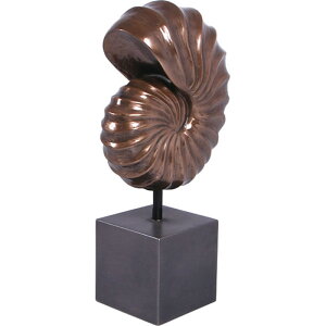 FRP恐竜オブジェ オウムガイ化石・小型(台座付き) Nautilus Shell Table Ornament 高さ約53cm インテリア リアル 鸚鵡貝 軟体動物 置物 アンモナイト 標本 博物館 実物大 フィギュア 店舗 喫茶店 レス