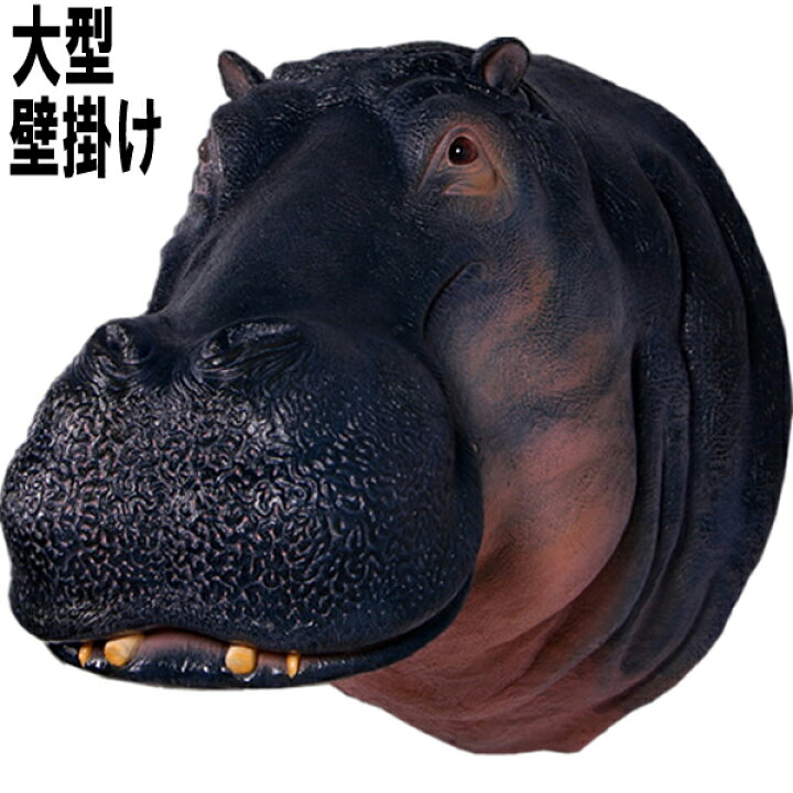 楽天市場】FRPアニマルオブジェ 壁掛け カバの頭部 Hippopotamus Head 