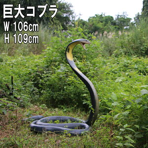 FRPAj}IuWF Ru King Cobra A   tBMA u wr 唗 傫 ւ K[fjO I[ig  CeA X  JtF iX Xg HX 