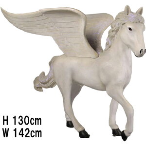 yKTX Pegasus 4ft. vX`bNiFRPj A[gIuWF 1m30cm Vn u CeA t@^W[ z K[f I[ig E}   X Cxg fBXvC fr18016