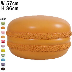 IW}J Apricot Macaron vX`bNiFRPj A[gIuWF XC[c X  fBXvC I[ig a57cm  CeA x َq  Cxg K[f