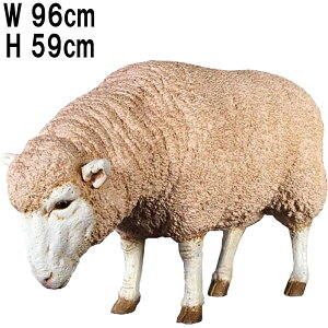 m̂Ђ Merino Ewe vX`bNiFRPj A[gIuWF A Aj} r u 킢 Ђ y tBMA   y qcW K[f I[ig fBXvC X