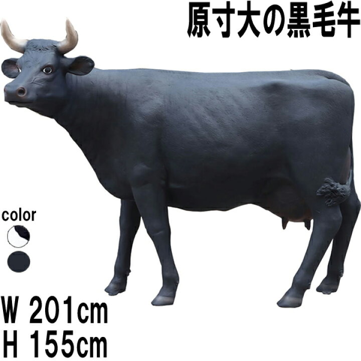 楽天市場】原寸大の黒毛牛 Cow Life Size 強化プラスチック（FRP 