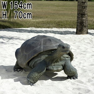 FRPAj}IuWF KpSX̗T Galapagos Tortoise A T u  K[fjO I[ig  J 傫 tBMA   O  X CeA  JtF i