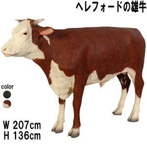 wtH[h̗Y Hereford Steer vX`bNiFRPj A[gIuWF   tBMA A EV Aj} u K[f I[ig  CeA  Cxg fBXv