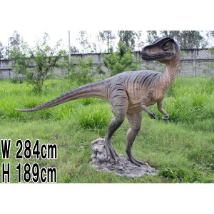 FRPIuWF UATEX Allosaurus ̒2m84cm A H u tBMA W{ ف@WI br   g X iX Xg HX O  C