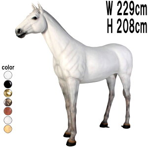 n A   傫 u  E} tBMA  K[fjO I[ig  X CeA JtF iX  O Xg HX Cxg fBXvC g fr10