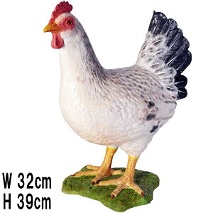  Hen White vX`bN (FRP) A[gIuWF A { u  K[fjO I[ig f jg   O y    O tBMA CeA Aj}