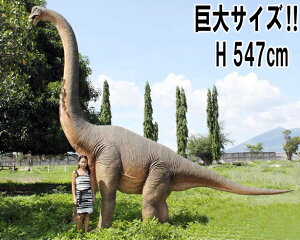 FRPIuWF uLITEX Brachiosaurus 4m72cm 唗! H u A WI r W{   tBMA X CeA iX Xg H