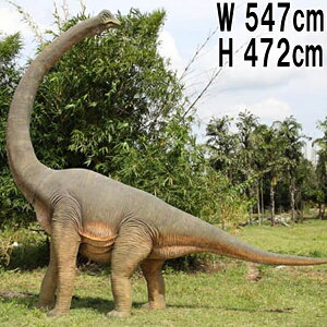 FRPIuWF UuLITEX Brachiosaurus with Twisted Neck 4m72cm 唗! A H u WI r W{   tBMA X CeA iX Xg