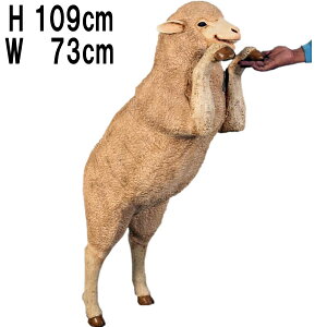 Ђ Curious Merino Ewe vX`bNiFRPj A[gIuWF A 킢   y tBMA Aj} u y Aj} r u qcW K[f I[ig fBXv