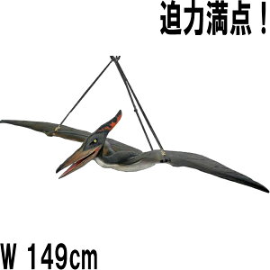 FRPIuWF xr[vemh Baby Pteranodon 1m49cm A  I W{  킢 y u  y tBMA X CeA 傫 K[f  I[i