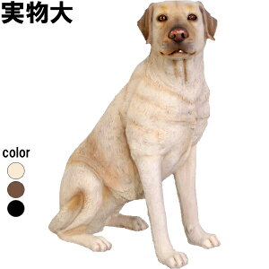 郉uh[ Sitting Labrador vX`bNiFRPj A[gIuWF    u  tBMA f K[fjO   O CeA Aj} y K[f 